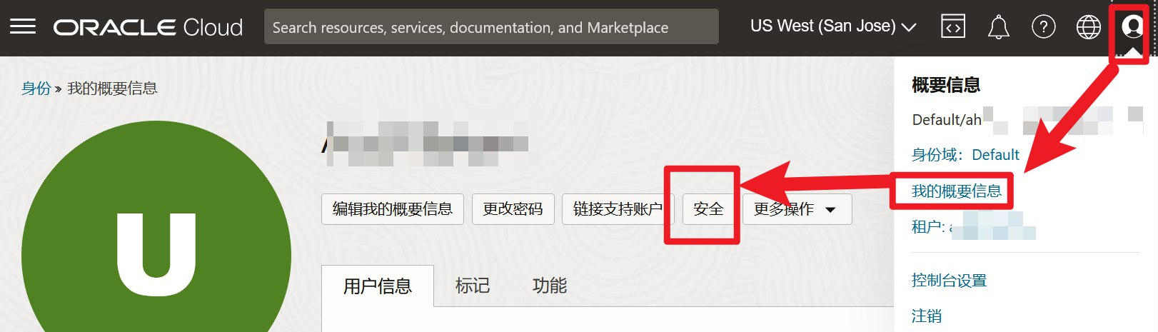 甲骨文云OCI控制台的多因素验证,增加"电子邮件"验证的方法插图4